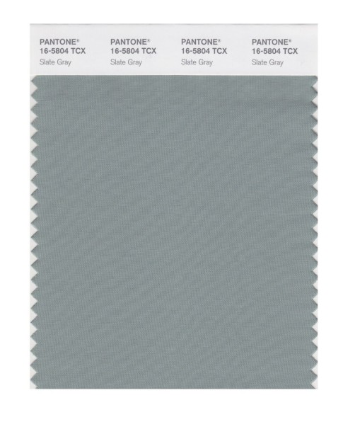 Pantone 16-5804 TCX Swatch Card Slate Gray