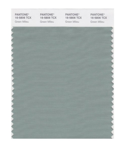 Pantone 16-5806 TCX Swatch Card Green Milieu