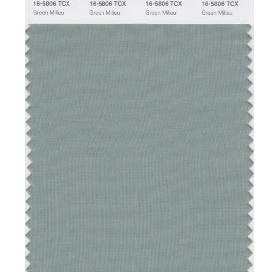 Pantone 16-5806 TCX Swatch Card Green Milieu