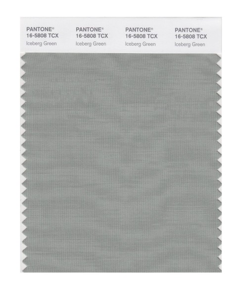 Pantone 16-5808 TCX Swatch Card Iceberg Green