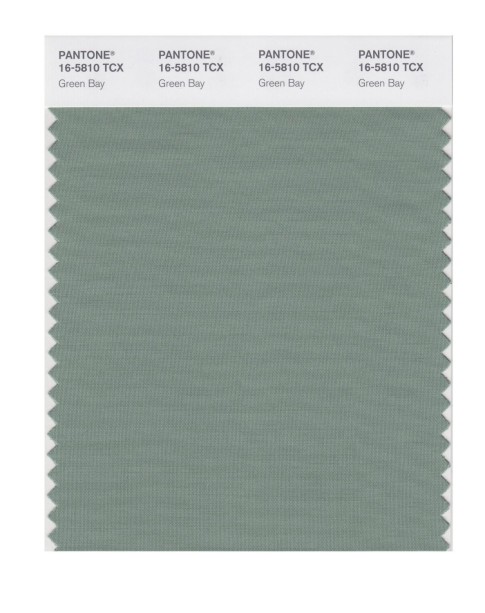 Pantone 16-5810 TCX Swatch Card Green Bay