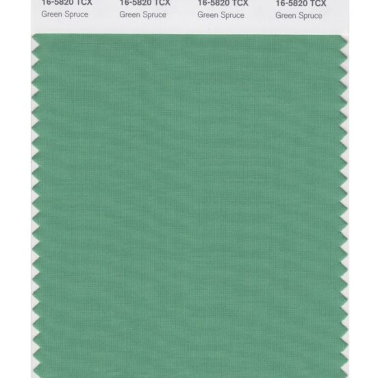 Pantone 16-5820 TCX Swatch Card Green Spruce