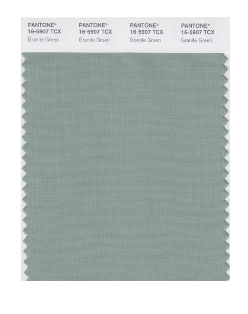 Pantone 16-5907 TCX Swatch Card Granite Green