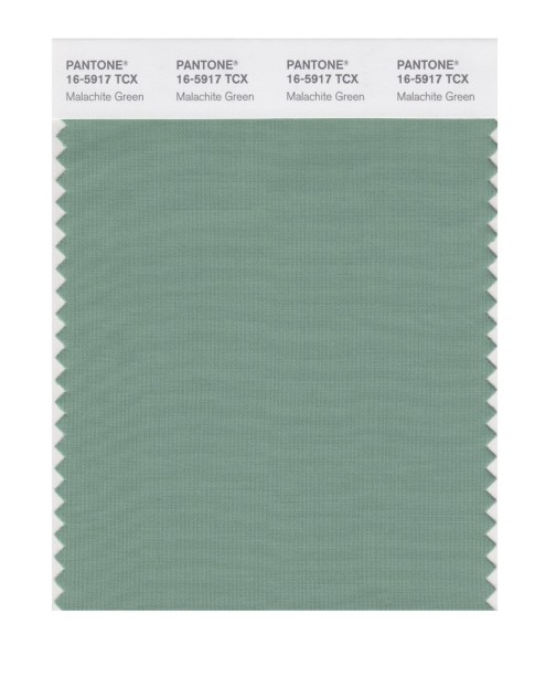 Pantone 16-5917 TCX Swatch Card Malachite Green