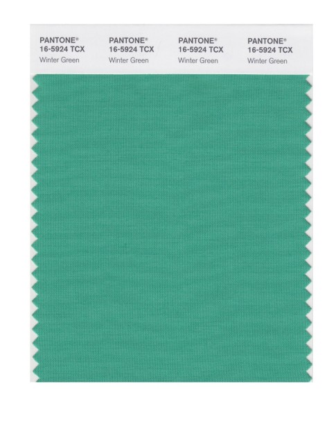 Pantone 16-5924 TCX Swatch Card Winter Green