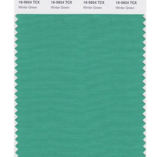 Pantone 16-5924 TCX Swatch Card Winter Green