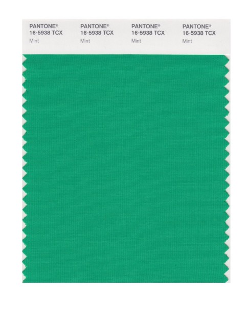 Pantone 16-5938 TCX Swatch Card Mint