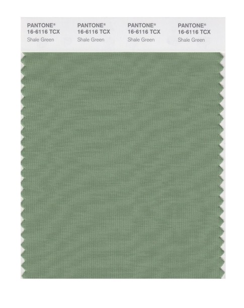 Pantone 16-6116 TCX Swatch Card Shale Green