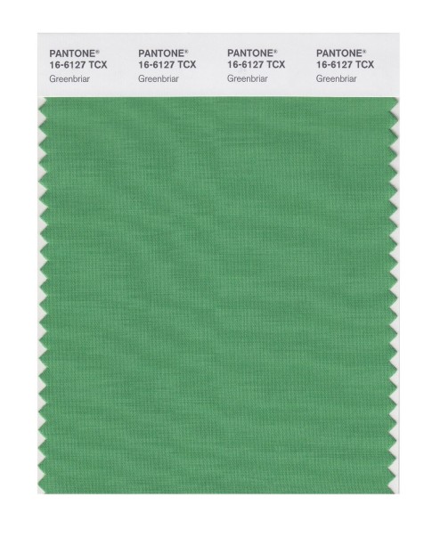 Pantone 16-6127 TCX Swatch Card Greenbriar