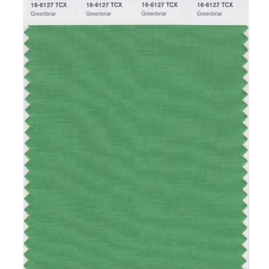 Pantone 16-6127 TCX Swatch Card Greenbriar