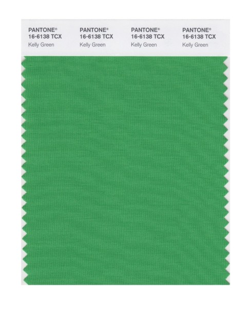 Pantone 16-6138 TCX Swatch Card Kelly Green