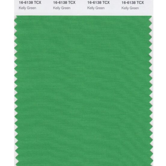 Pantone 16-6138 TCX Swatch Card Kelly Green