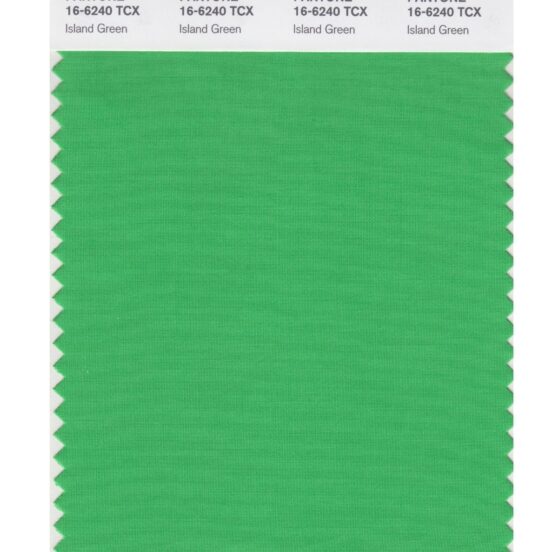 Pantone 16-6240 TCX Swatch Card Island Green