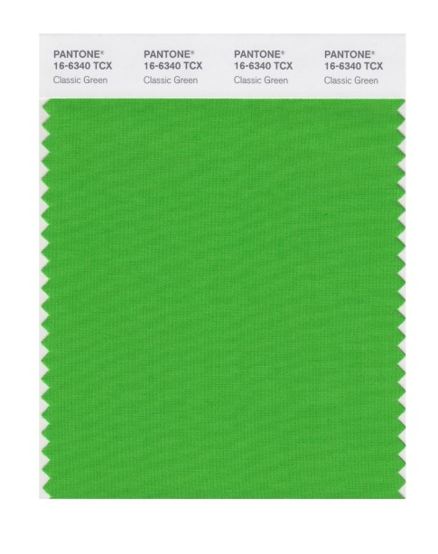 Pantone 16-6340 TCX Swatch Card Classic Green