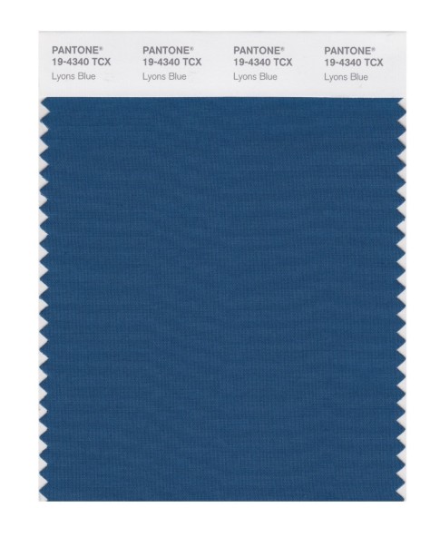 Pantone 19-4340 TCX Swatch Card Lyons Blue
