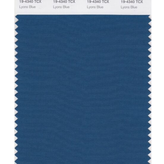 Pantone 19-4340 TCX Swatch Card Lyons Blue