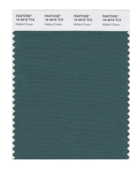 Pantone 19-4818 TCX Swatch Card Mallard Green
