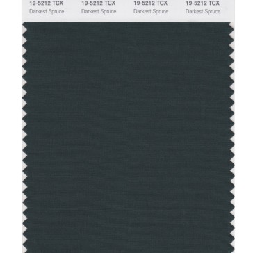 Pantone 19-5212 TCX Swatch Card Darkest Spruce