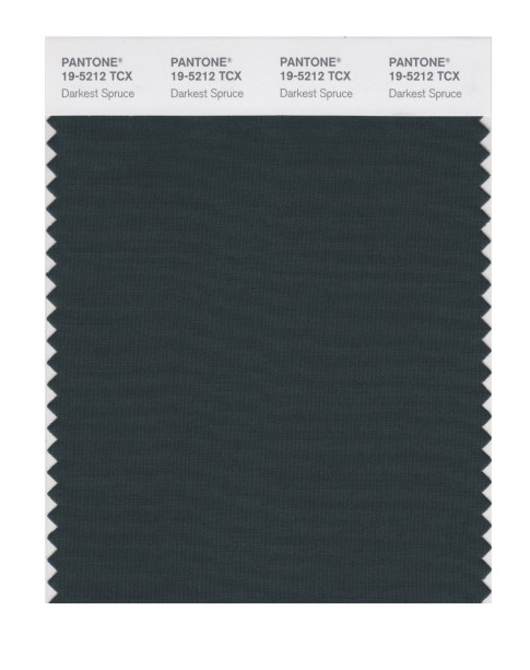 Pantone 19-5212 TCX Swatch Card Darkest Spruce