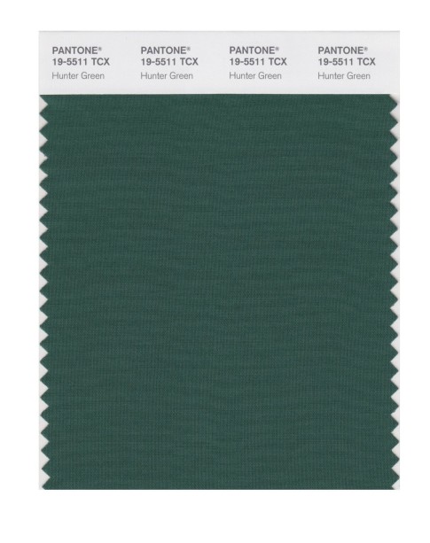 Pantone 19-5511 TCX Swatch Card Hunter Green
