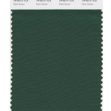 Pantone 19-5513 TCX Swatch Card Dark Green