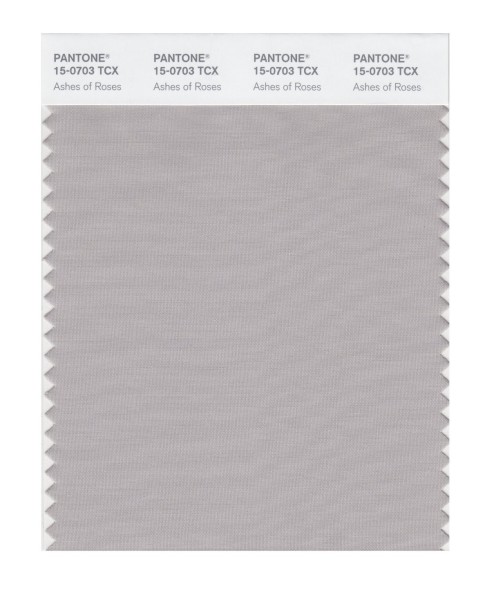 Pantone 15-0703 TCX Swatch Card Ashes Of Roses