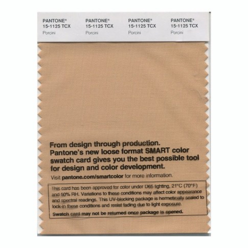 Pantone 15-1125 TCX Swatch Card Porcini