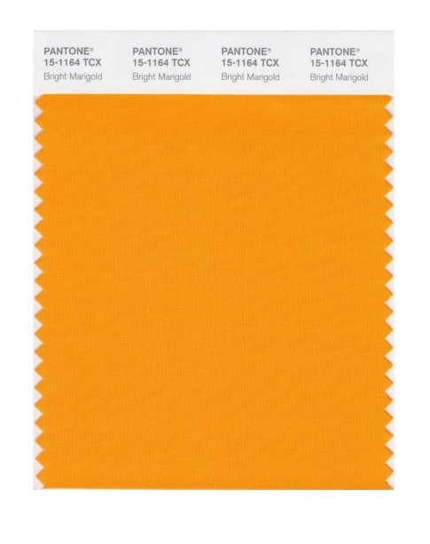 Pantone 15-1164 TCX Swatch Card Bright Marigold