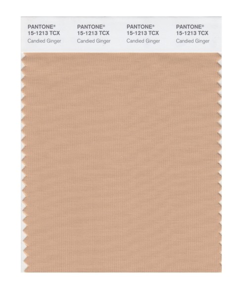 Pantone 15-1213 TCX Swatch Card Candied Ginger