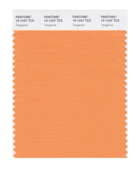 Pantone 15-1247 TCX Swatch Card Tangerine