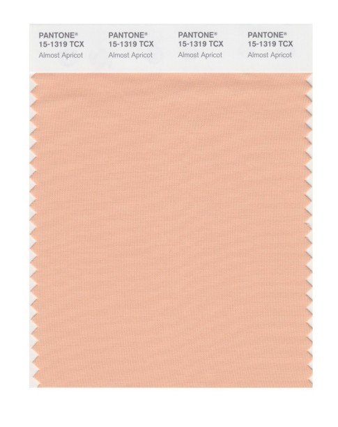 Pantone 15-1319 TCX Swatch Card Almost Apricot