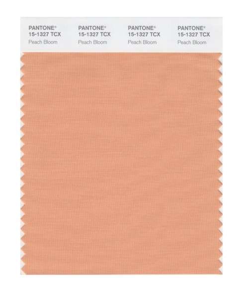 Pantone 15-1327 TCX Swatch Card Peach Bloom