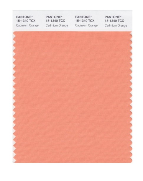 Pantone 15-1340 TCX Swatch Card Cadmium Orange
