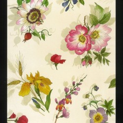 Fiori Flower Print Design Book