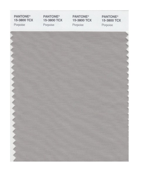 Pantone 15-3800 TCX Swatch Card Porpoise