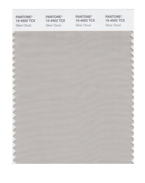 Pantone 15-4502 TCX Swatch Card Silver Cloud